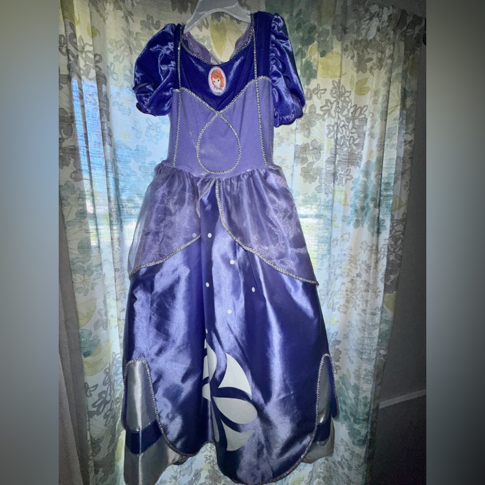 TODDLER Sophia (4T/5T) the First Costume Dress